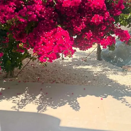 Hébergement de vacances Bluewaves Moonstone Jacuzzi House *